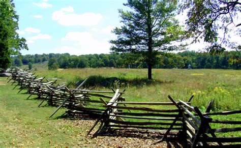 thewheatfield